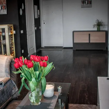 Apartment With Panoramic View